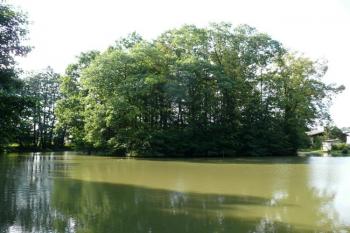 celkový pohled na tvrziště od jihovýchodu ( © Jan P. Štěpánek 08/2009)