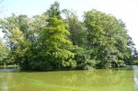 Velké Albrechtice
