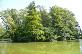 tvrziště ve Velkých Albrechticích od severozápadu ( © Jan P. Štěpánek 08/2009)