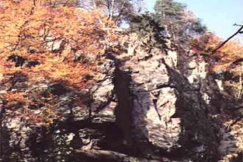 Skalní stěna Sokolhradu (©Myška)