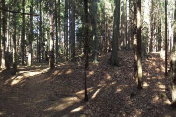  (© Michal Brůža, 03/2012)