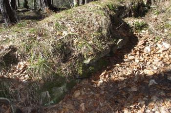  (© Michal Brůža, 03/2012)