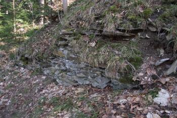  (© Michal Brůža, 03/2012)