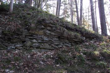  (© Michal Brůža, 03/2012)