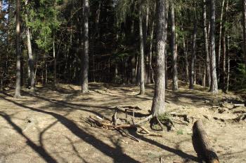  (© Michal Brůža, 03/2012)