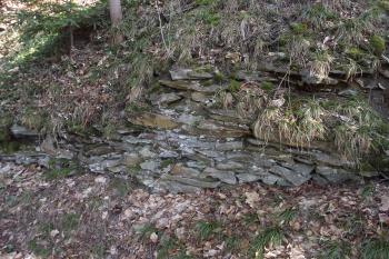  (© Michal Brůža, 03/2012)