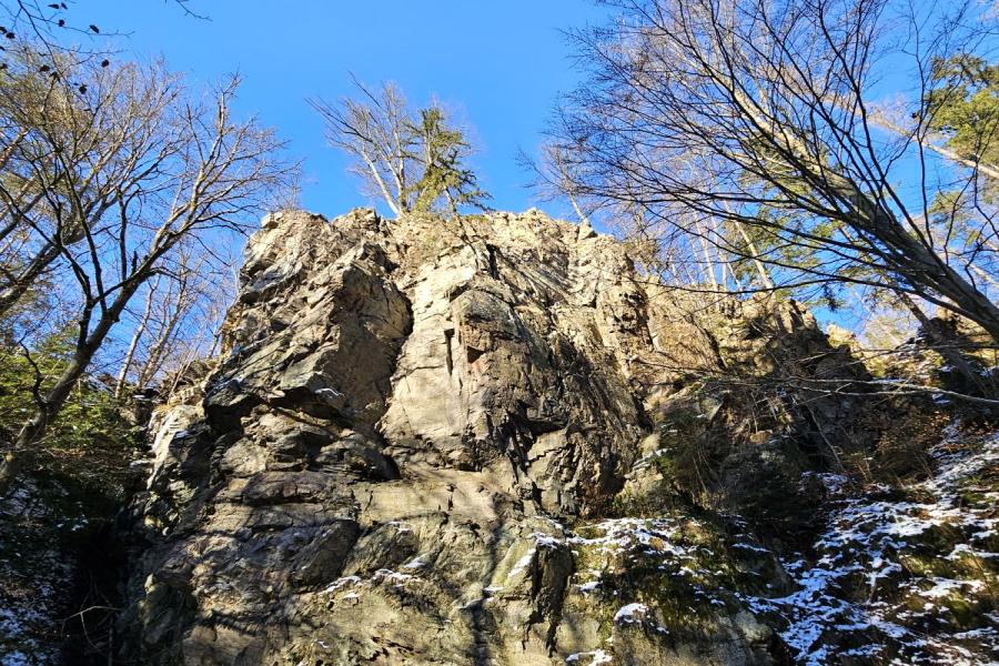 Sokolov