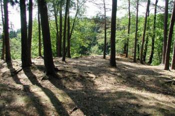 Nepatrné zbytky hradu (2003 © Václav Hájek)