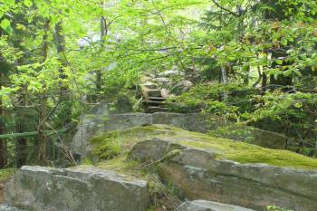 Sokolohrady - směrem ke skalnímu hřebínku (© Pavel Jarý, 09.05.2009)