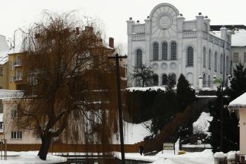  (© Alena Volná, 1/2010)