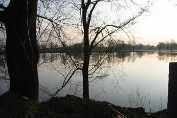 zám.rybník (© D Dohňanský, 04/2015)