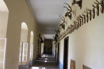 Opravená horní chodba v jižním křídle (© Dušan Dohňanský 07/2020)