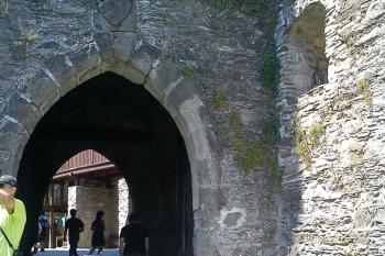 Brána s erbem rodu ze Sovince (poloutrojčáří) (© Jan Večeřa, 07/2014)