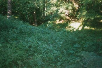 Příkop (© Peprník 25/05/2003)