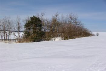 Pohled od jihovýchodu ( © Roman Řezáč 02/2005)