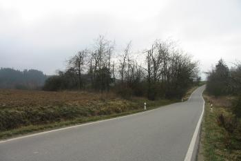 tvrziště od severu (© D Dohňanský, 01/2016)