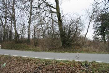 tvrziště od jz. (© D Dohňanský, 01/2016)