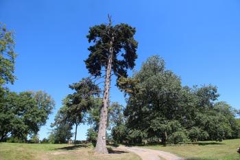  ( © Luděk Vláčil 08/2016)