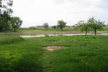 rybník těsně u tvrziště (© D Dohňanský, 06/2014)