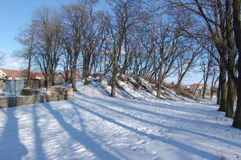 Pohled na pahorek tvrze od západu ( © Roman Řezáč 03/2005)