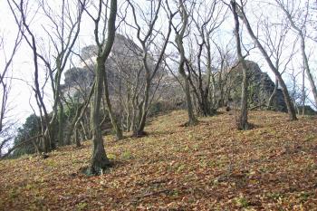 Starý Berštejn z přístupové cesty (© Zdeněk Březina, 11/2009)