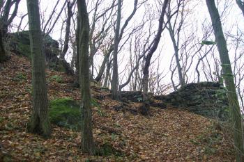  (© Zdeněk Březina, 11/2009)