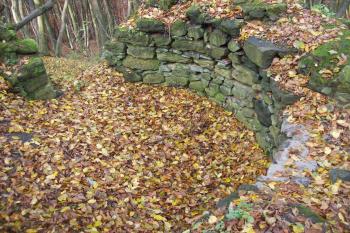  (© Zdeněk Březina, 11/2009)