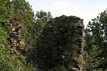  (© Zdeněk Susa, 08/2013)