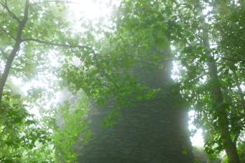 zřícenina hradu Starý Herštejn (© Vlastislav Mareček, 06/2016)