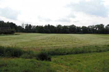 pohled na plochu zanikajícího tvrziště od severovýchodu ( © Jan P. Štěpánek 06/2016)