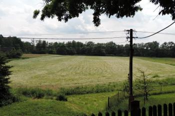 pohled na plochu zanikajícího tvrziště od severu  ( © Jan P. Štěpánek 06/2016)