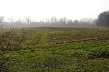 Pohled od severovýchodu na pole se zřetelným pozůstatkem pahorku jádra (tmavší prostor uprostřed) ( © Jan P. Štěpánek 11/2006)