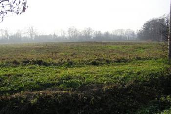 Pohled od severovýchodu na pahorek jádra tvrze (tmavší vystouplá část uprostřed) ( © Jan P. Štěpánek 11/2006)