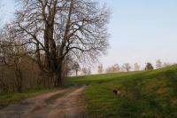 Stanislavice