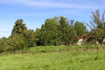 Výrazná terénní nerovnost dodnes upomíná na polohu zaniklého zámku ( © Jan P. Štěpánek 09/2007)
