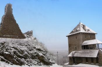 celkový pohled na jádro hradu a předhradí od severovýchodu ( © Jan P. Štěpánek 01/2008)