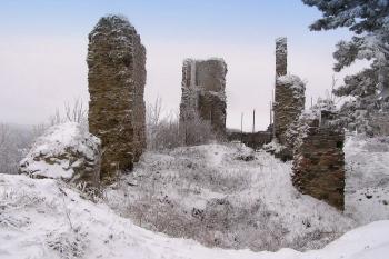 pohled od severu na trosky východního paláce ( © Jan P. Štěpánek 01/2008)