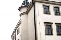 Wolfínský palác