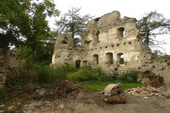 Torzo paláce ( © Jiří Čížek 09/2008)