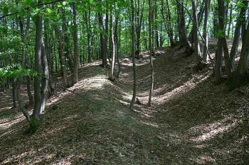 Relikty druhotného - středověkého - opevnění nejistého původu na vrcholu Červenky ( © Petr Turyna 08/2006)