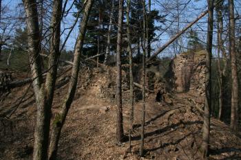 Pohled na jádro hradu ( © Petr Nožička 03/2012)