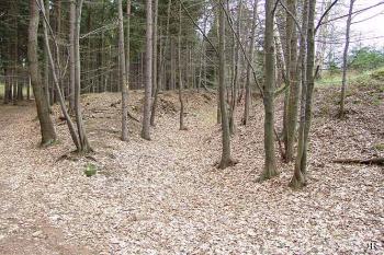Zachovaný příkop v čele předhradí ( © Roman Řezáč 04/2005)
