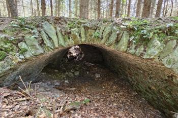 kamenná klenba suterénu budovy na předhradí (© Jan P. Štěpánek  06/2024)