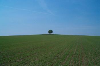 Pohled na Žuráň. (© jiri gazarek 07/2006)