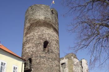  (© Michal Brůža, 03/2012)