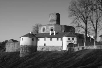  (© Michal Brůža, 03/2012)