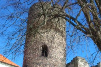 Hrad Svojanov (© Vlastislav Mareček, 03/2014)