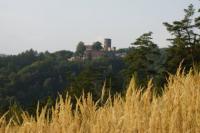 Svojanov