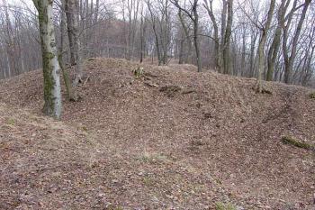 Pohled z jádra na zvýšený val před přístupovou šíjí ( © Roman Řezáč 03/2005)