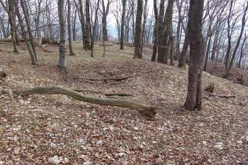 Jihovýchodní plocha jádra ( © Roman Řezáč 03/2005)